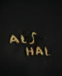 64